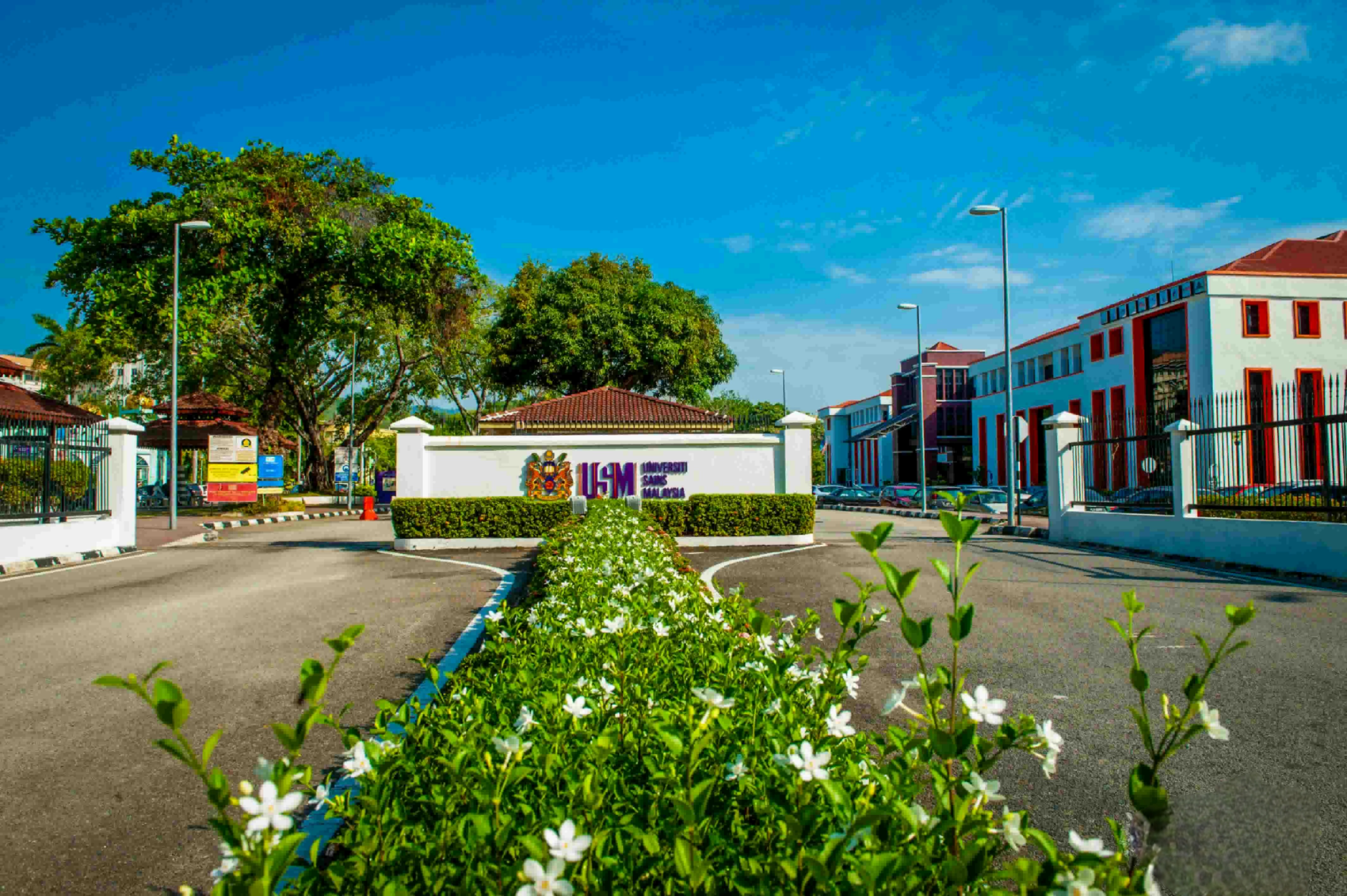 University Image